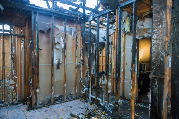 Professional Fire Damage Repair technician working in Neshanic Station, NJ
